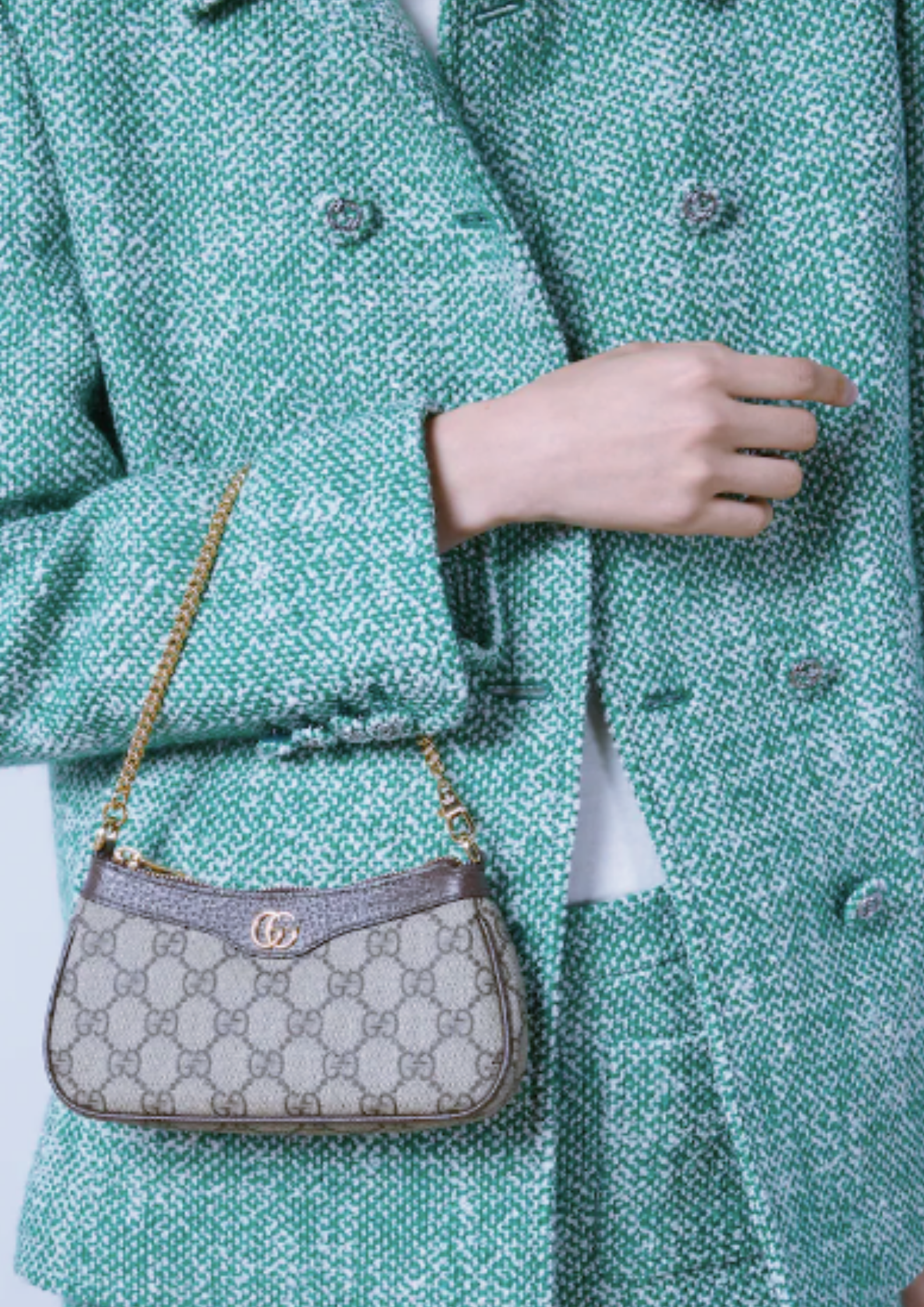 Ophidia Mini Bag | Beige and Ebony