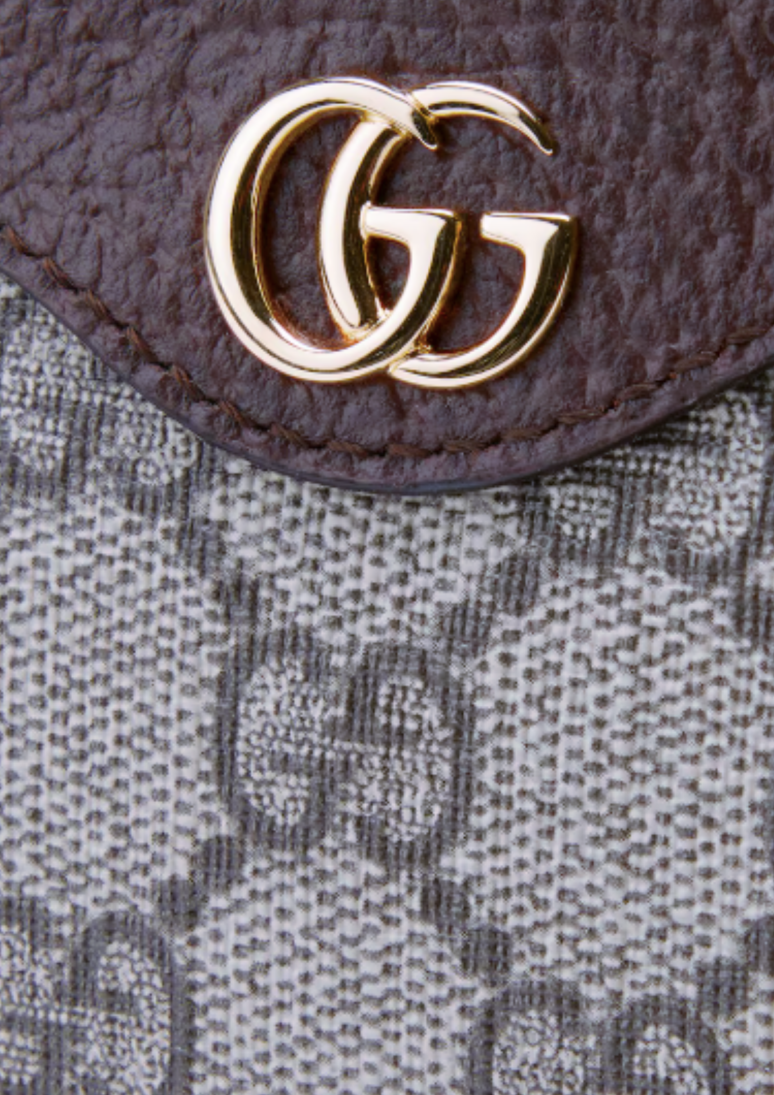 Ophidia Mini Bag | Beige and Ebony
