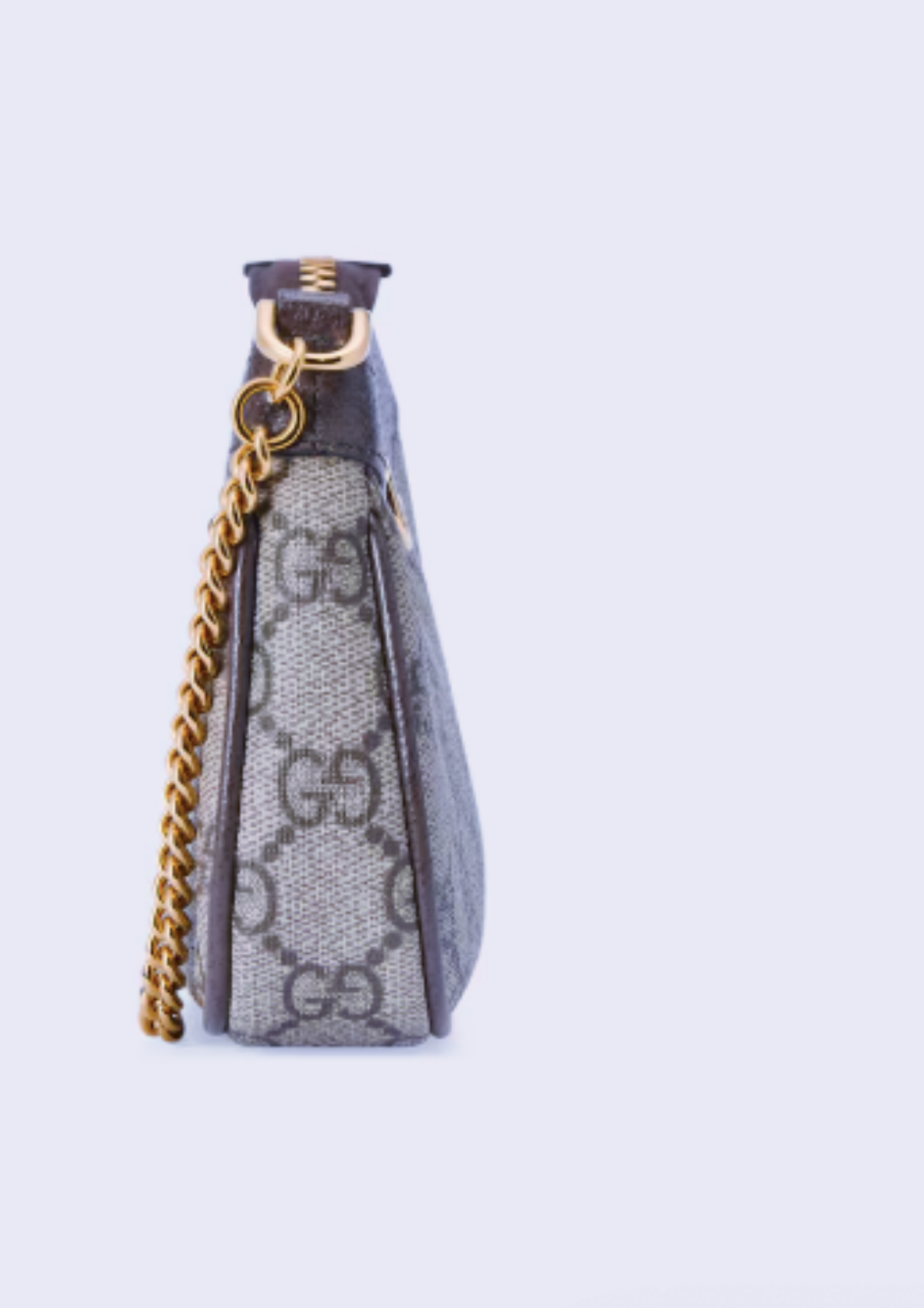 Ophidia Mini Bag | Beige and Ebony