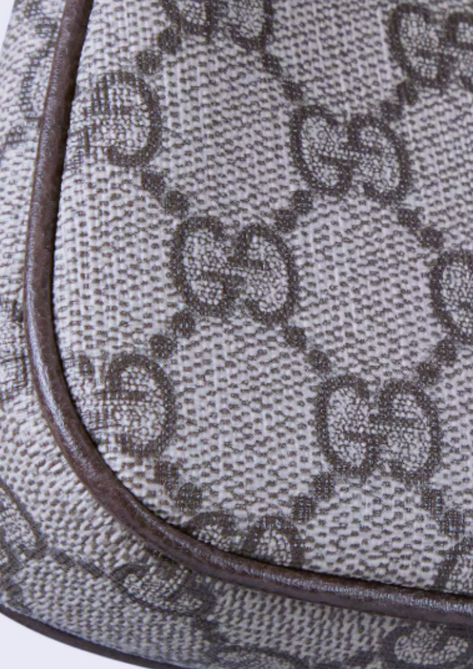 Ophidia Mini Bag | Beige and Ebony